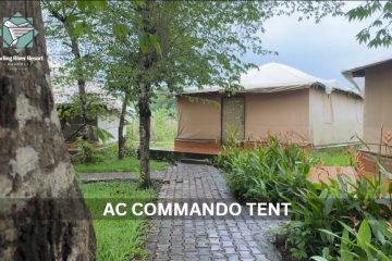 3e99e399-11ad-49d3-a367-99f94592681f